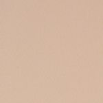 SKIMS Mid Thigh Sculpting Bodysuit S/M Photo 1