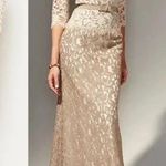 Tadashi Shoji  Lace Boatneck 3/4 Sleeve Gown Cream Beige Long Dress Bow Belt 12 Photo 0