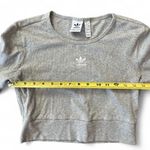Adidas Originals Essentials Ribbed Long Sleeve Cropped T-Shirt Photo 7