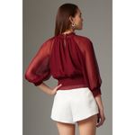 Gilner Farrar Dell Chiffon Blouse Ruby Burgundy Maroon Size Small Purple Photo 1