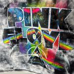 Pink Floyd Dark Side of the Moon Tie-Dye cropped T-Shirt graphic tee boxy large Photo 3