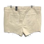 Torrid Denim Jean Shorts Sz 22 Exposed Button Fly Raw Hem High Rise Vacation NWT Photo 1