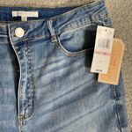 Copper Key  High waist jegging ankle length Photo 3