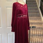 In Loom  velvet castlecore long sleeve maxi dress Photo 13