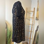 Verducci Little Black Lace Dress Nude Lining Medium Photo 1