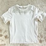 J.Crew  Mesh Accent Short Sleeve T-Shirt Photo 5