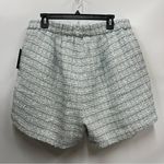 Eloquii NWT  High Rise blue and White Pleated Plaid Short Size 16 lined w/pockets Photo 1