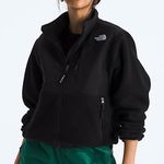 The North Face  Retro Denali Fleece Jacket Black Size Small Photo 0