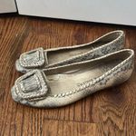 Jack Rogers  Belle Buckle Python Printed Leather Flats Size 9.5 Cream Python Photo 2