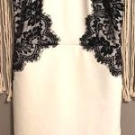Teeze Me White With Black Lace Dress Photo 0
