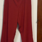 Alfred Dunner  Burnt Orange Textured Pull On Pants Size 16 Photo 0