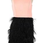 Slate + Willow Sz. 6 Cocktail Dress | Blush Top | Feathered Skirt | Unique Photo 0