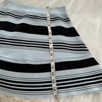 ALC Frank ALC Women’s Small Blue Black Striped Circle Skater Skirt Knit Photo 6