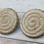 Vintage Clip On Earrings Large Beige Spiral 1 & 1/8" Photo 2