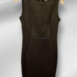 Calvin Klein  Black Polka Dot Dress Photo 0