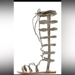 Raye Shanna Olive Green Gladiator Suede Sandals Size 40 (US 9.5) Photo 1