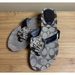 Coach Women's Signature  Slip‎ On Sandals 7B Brown Patent Leather Strap- Flower Photo 2