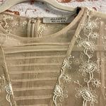 All Saints Cream Lace Blouse with Ruffle Sleeves Photo 2