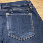 Vervet - Flying Monkey 27 Photo 1