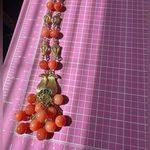 Nine West Coral beads Gold shell chain Necklace flower leave pendant 28” inches Photo 1