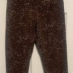 Casablanca by Marrakech Animal Print Capri Leggings Photo 0