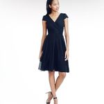 J.Crew NEW! Mirabelle Navy Blue 100% Silk Chiffon Dress Size 16 Photo 1