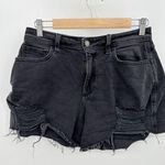 Hollister Shorts Women 9 29W Black Curvy High-Rise Vintage Cotton Blend Denim Photo 0