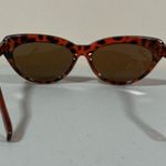 Brown Tortoise Shell Oversized Cat Photo 5
