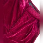 Akira  Velvet Pants in Magenta Photo 4