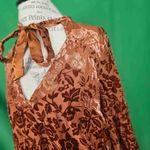 Anthropologie Womens Rust Orange Floral Velvet Tie Neck Blouse Medium Photo 2