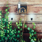 Giani Bernini  Womens Faux Leather Crossbody Convertible Dome Handbag Purse Photo 1