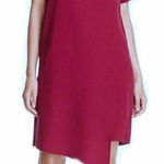 Eileen Fisher NWT  Asymmetrical Dress Photo 0