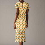 Farm Rio  x ANTHROPOLOGIE  Printed Mesh
Toucan Bird Sun Midi Fitted Dress Sz S Photo 1