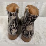 City Classified Women’s 9 Snakeskin Ankle Boot Gray Photo 5
