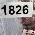 Free People  Paradise Handkerchief Pleated‎ Midi Skirt Size 2 Pockets Festival Photo 9