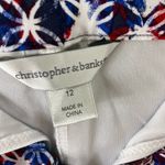 Christopher & Banks  Colorful Straight Short Cotton Patriotic Skirt Size 12 Photo 6
