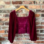 Anthropologie  Velvet Puff Sleeve Smocked Long Sleeve Blouse Top Shirt, XS Photo 4
