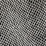 J Brand EUC  100% Snakeskin Embossed Lamb Leather Pants Size 27 Photo 6