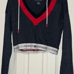 Urban Outfitters /Tommy Hilfiger Cropped Hoodie Photo 1