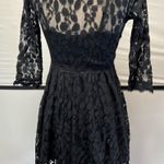 Free People Lace Skater Dress Photo 1
