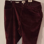 Brooks Brothers Universal thread Red Boot Cut Jeans with Luxurious Fabric NWT Photo 0