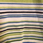 Vintage Napa Valley Green Striped Short Sleeve Top with Floral Design 1X Photo 2