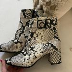 Calvin Klein Snakeskin Booties  Photo 0