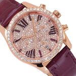 Michael Kors MK2971 Lexington Pave Rose Gold Tone DIAL BERRY Photo 2