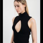 Danielle Guizio  Black Ribbed Cutout Top Photo 2