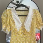 Kimchi Blue  Dainty Polka Dot Dress with White Collar Photo 2