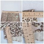 Wonderly Womens Cheetah Print Shorts High Waist Frayed Hem Size 30 Brown NEW Photo 5