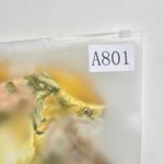 Zimmermann NWOT  Amelie Bow Swimsuit One Shoulder Amber Floral Size 2 Photo 13