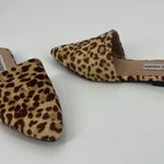Steve Madden Trace Mule Womens Shoes Sz 6M Leopard Festival Indie Fur Safari Photo 12