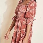 Hutch Leland Bohemian Velvet Burnout Mini Dress in Cinnamon Photo 9